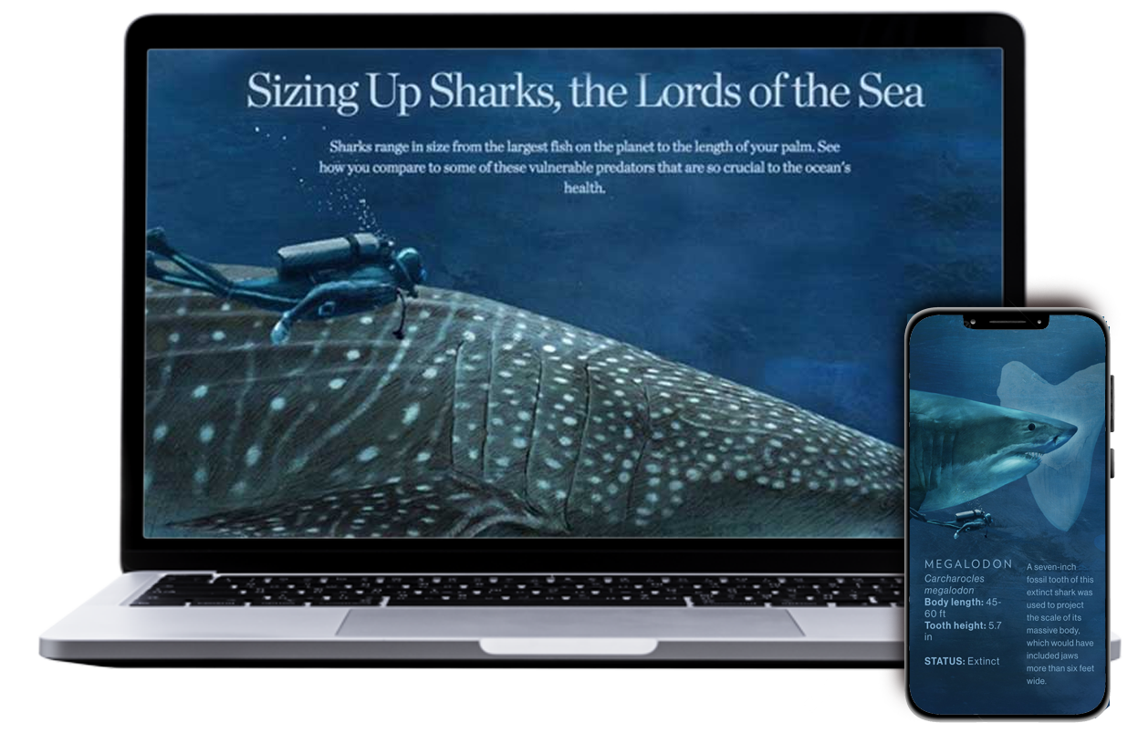 An illustration of a whale shark with a submarinist in in front of it
