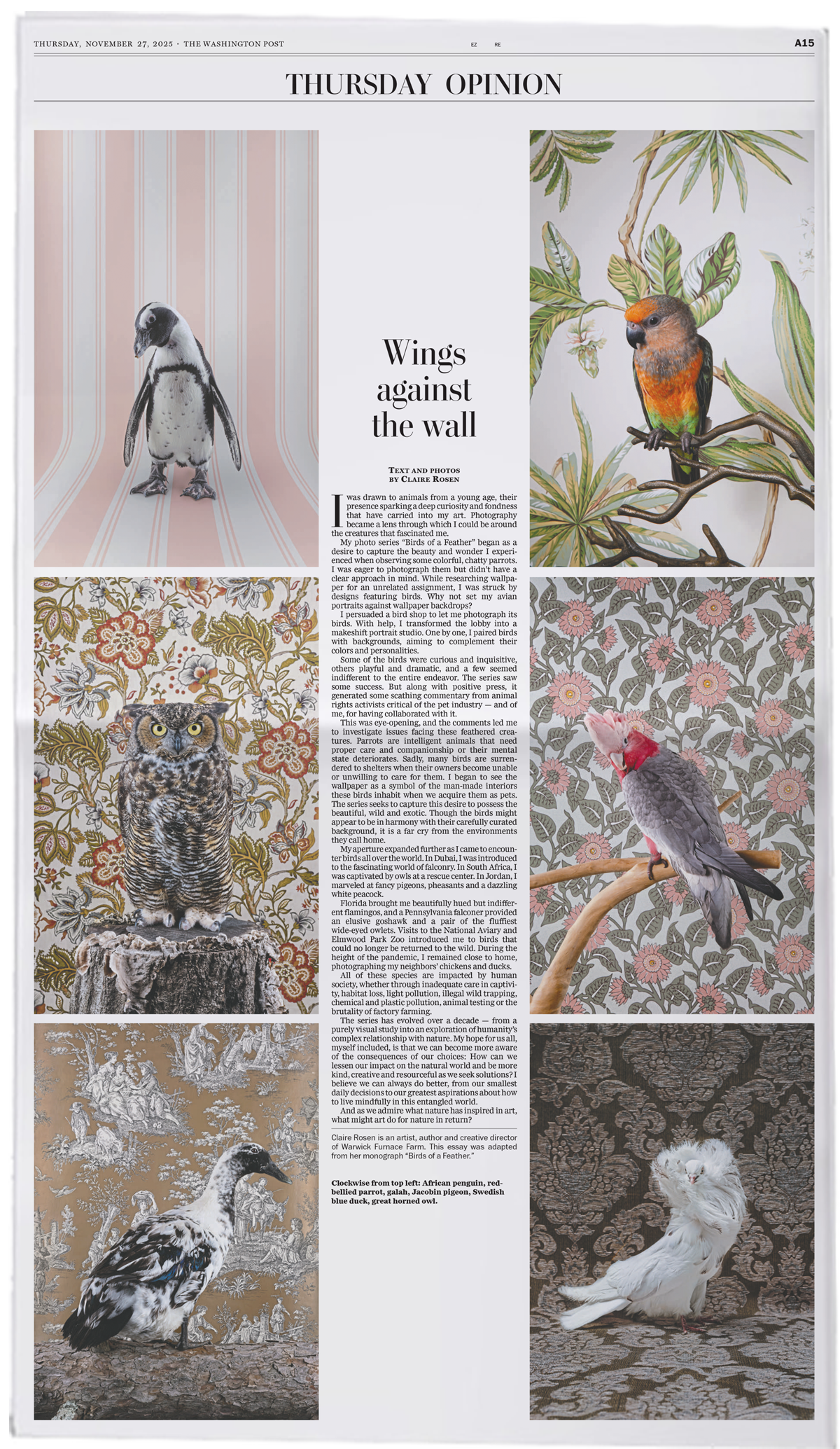 A single newspaper page with a column of text and bord photos around it.